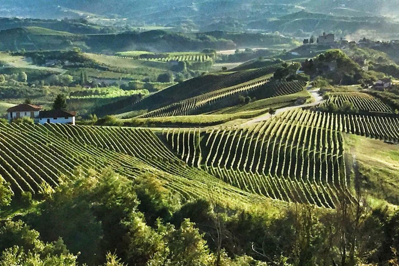 Casa Dei Nonni #Charminglanga Villa Grinzane Cavour Kültér fotó